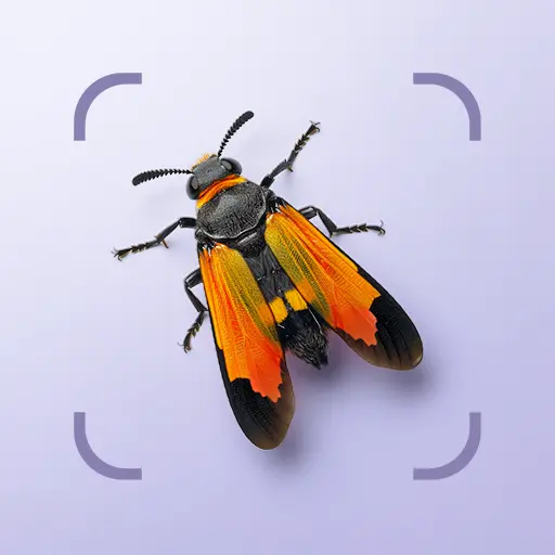 Bug ID - Insect Identifier icon