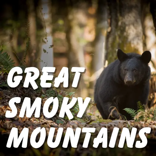 Great Smoky Mountains GPS Tour icon