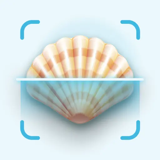 Seashell Identifier App icon