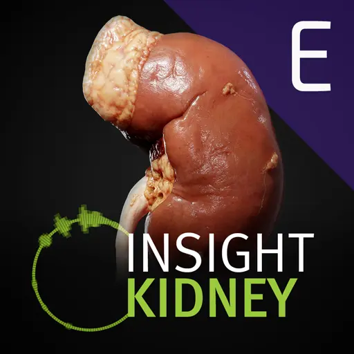 INSIGHT KIDNEY Enterprise icon