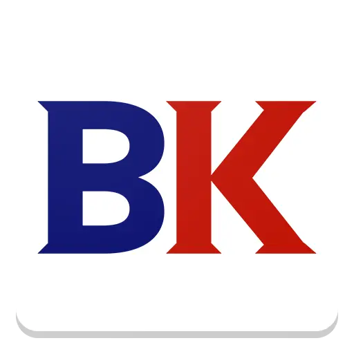 BiddingKings icon