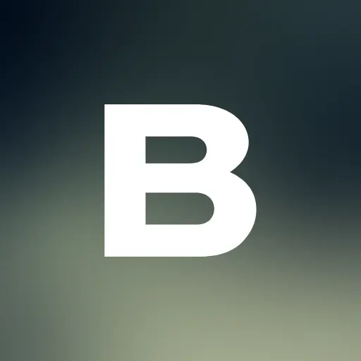 Bruce Studios icon
