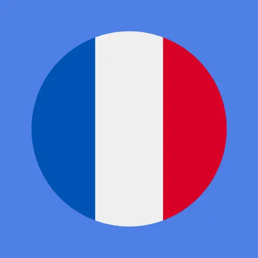 Most Common French Words icon