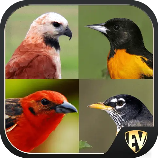 Birds Encyclopedia Offline App icon