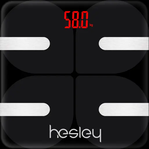 Hesley icon