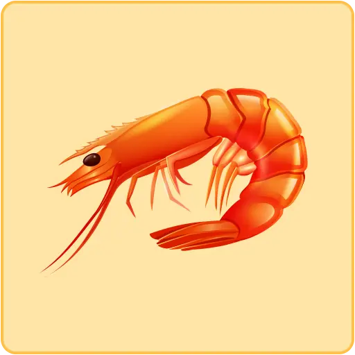 Shrimp Recipes icon