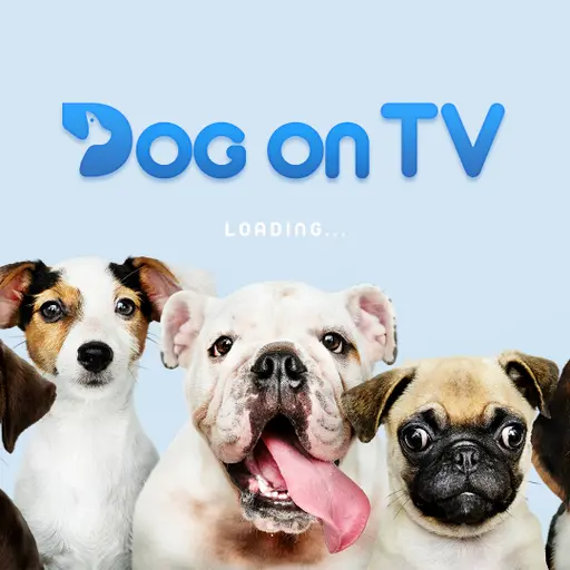 Dog TV icon