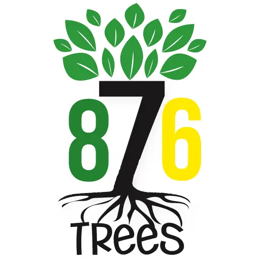 876 Trees icon