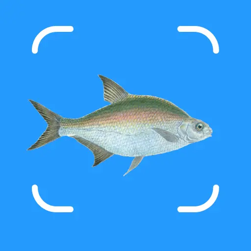 AI Fish Identifier & Catch Log icon