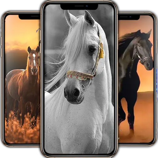 Horse Wallpapers icon