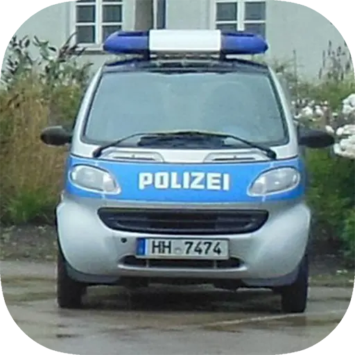 Police Car Chase Offroad icon