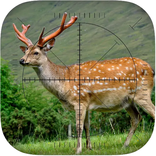 Deer Sniper: Hunting Game icon