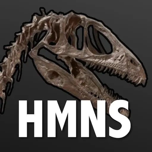 Access HMNS icon