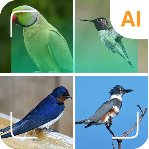 Bird identifier icon