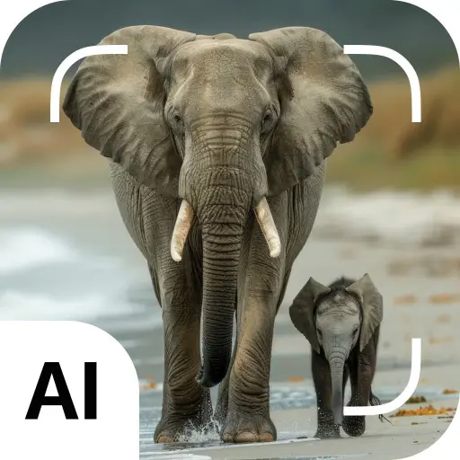 Mammal identifier icon