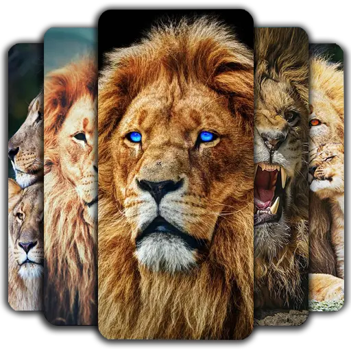 Lion Wallpaper icon