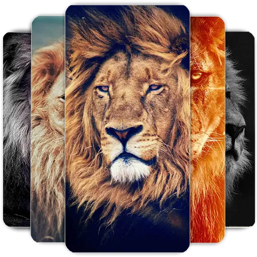 Lion Wallpapers HD icon