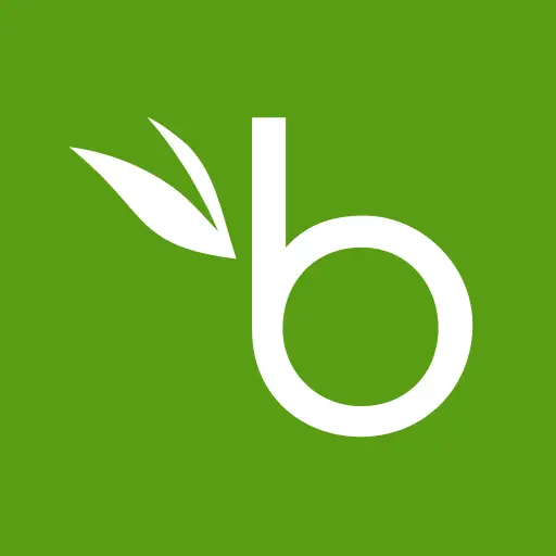 BambooHR icon