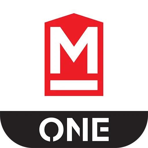 Money Title ONE icon