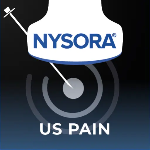 US Pain Blocks icon