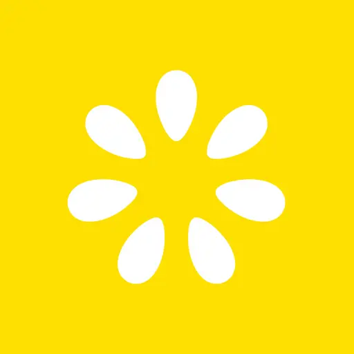 Lemonade Ordering icon