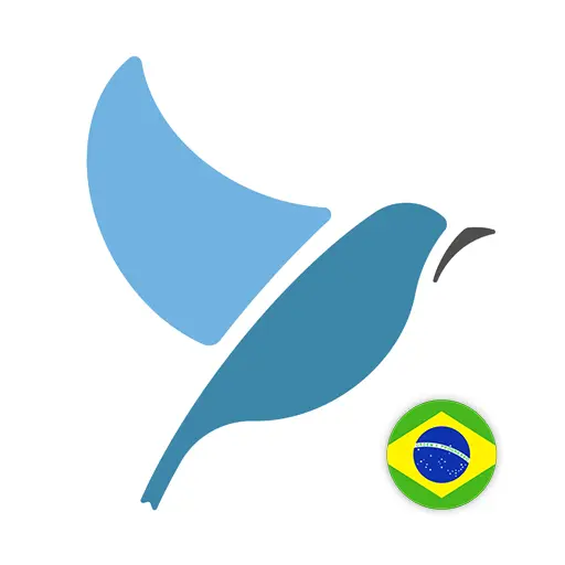 Learn Brazilian Portuguese. Sp icon