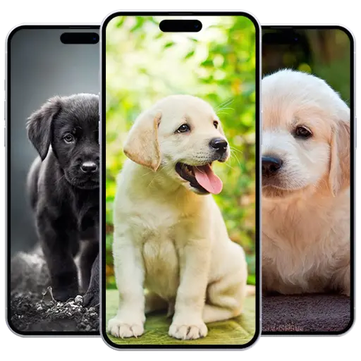 Puppy Wallpaper icon