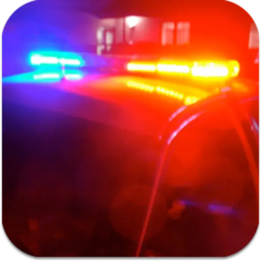 US Cop icon