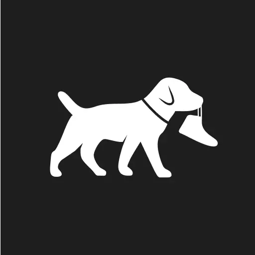 Sole Retriever - Sneakers icon