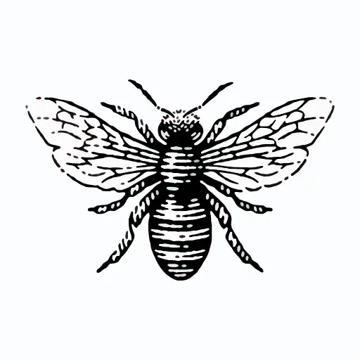 Buckbees Shop icon