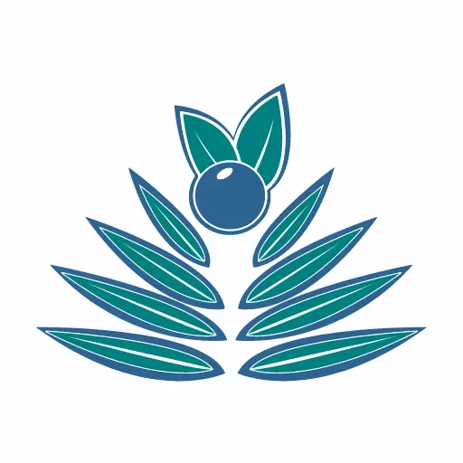 Palm Berries icon