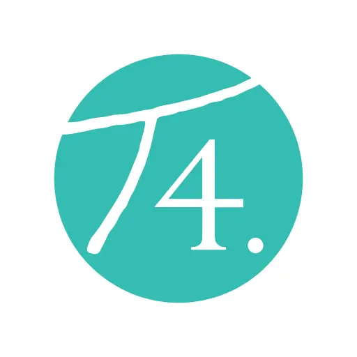 T4 icon