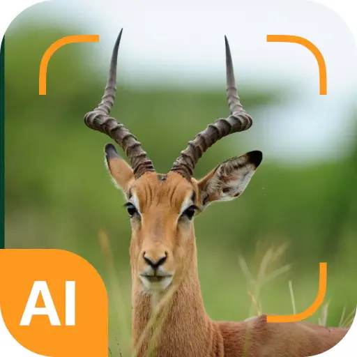 Animal identifier icon