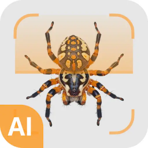 Spider identifier icon
