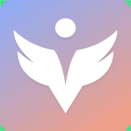 vPresent icon