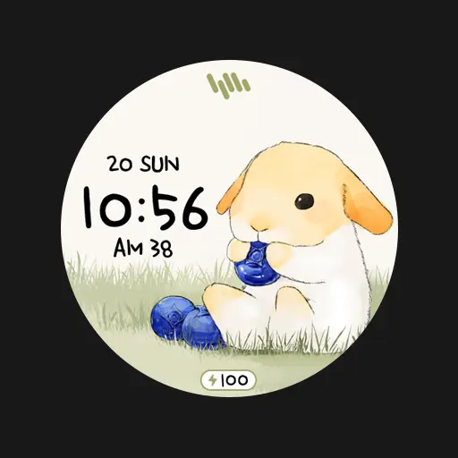 SamWatch T Cartoon Rabbit icon