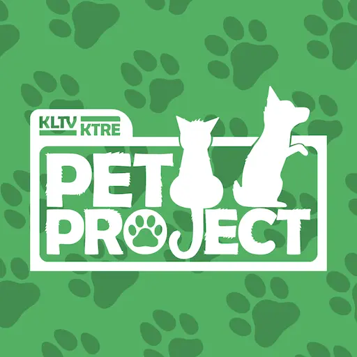 Pet Project KLTV - KTRE icon