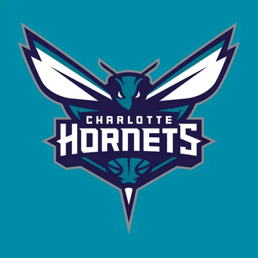 Charlotte Hornets icon