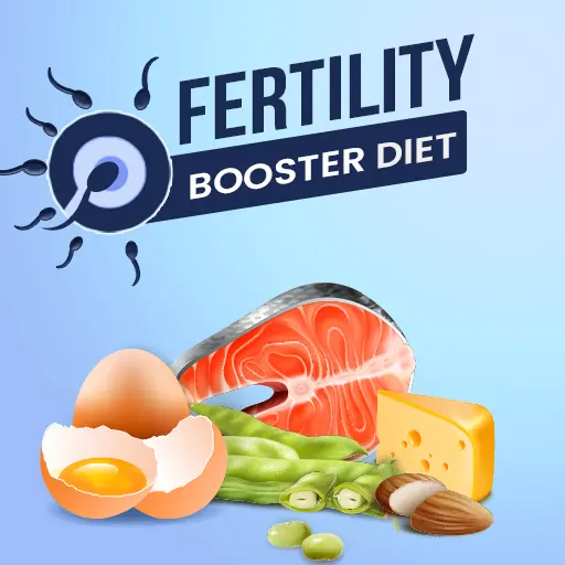 Fertility Booster: Diet plans icon