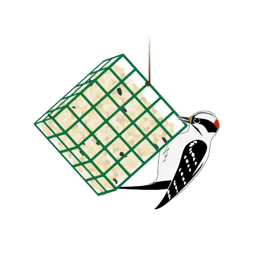 Project FeederWatch icon