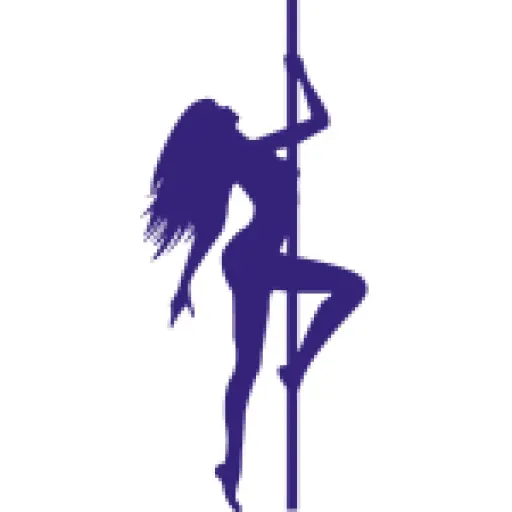 Fit Body & Pole icon