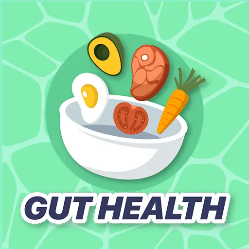 Gut Health Diet Recipes icon