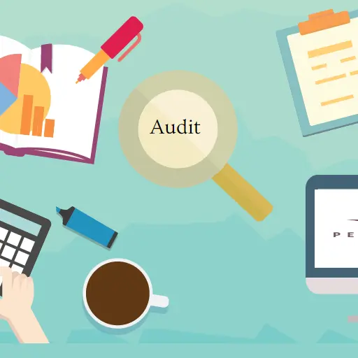 Auditing icon