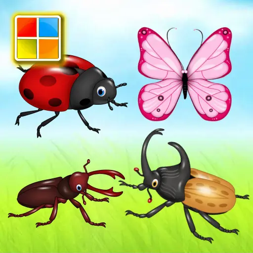 Insects Cards Games icon