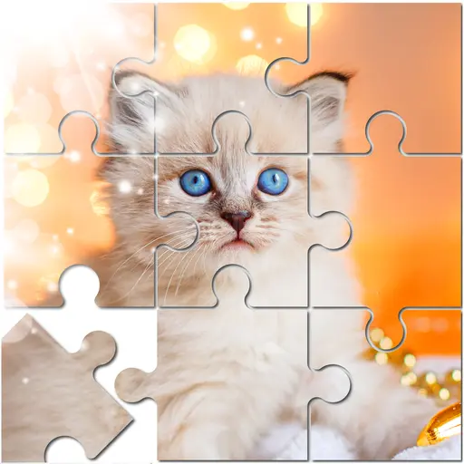 Jigsaw Puzzle For Seniors icon