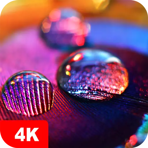 Macro Wallpapers 4K icon