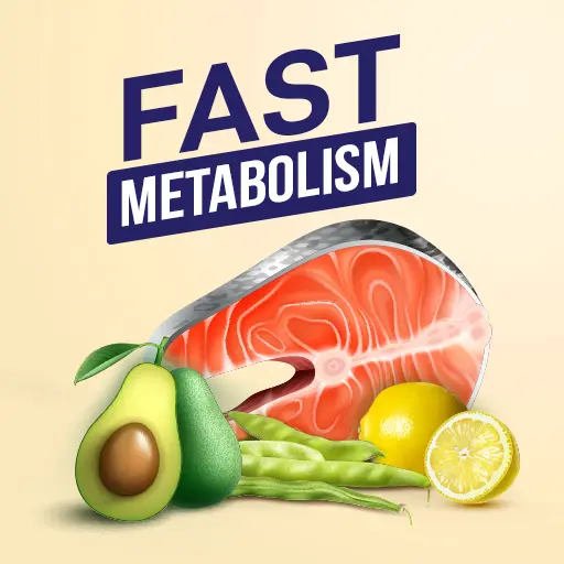 Fast Metabolism Booster Diet icon