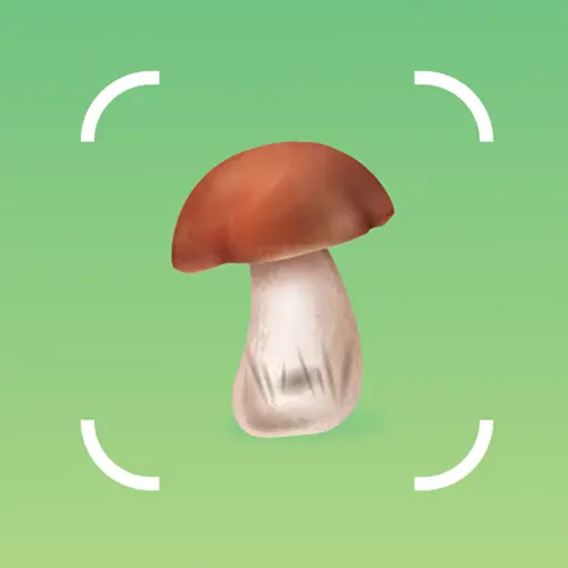 Mushroom Identifier by Picture icon