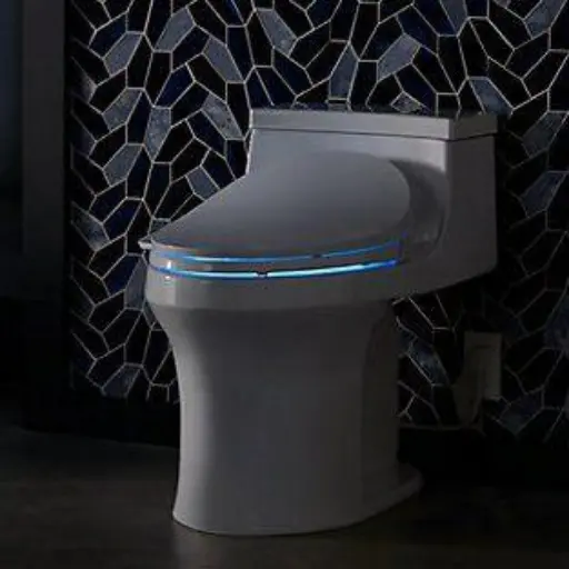 Bidet Toilet icon