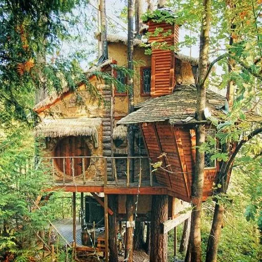 Treehouse icon